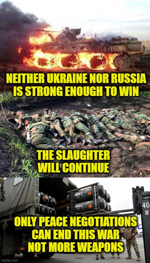 Where Have All The Flowers Gone? | NEITHER UKRAINE NOR RUSSIA
IS STRONG ENOUGH TO WIN; THE SLAUGHTER
WILL CONTINUE; ONLY PEACE NEGOTIATIONS
CAN END THIS WAR
NOT MORE WEAPONS | image tagged in ukraine | made w/ Imgflip meme maker