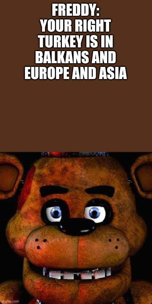 Five Nights At Freddys | FREDDY: YOUR RIGHT TURKEY IS IN BALKANS AND EUROPE AND ASIA | image tagged in five nights at freddys | made w/ Imgflip meme maker