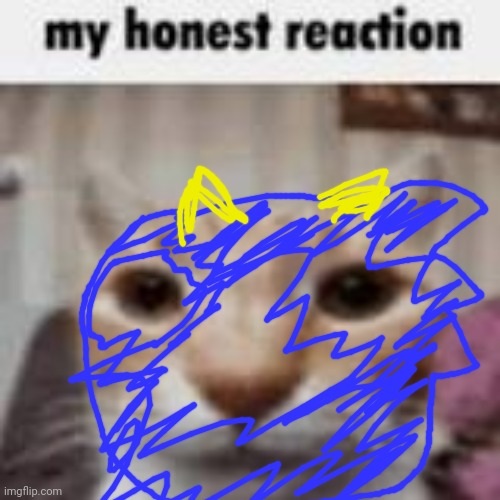 My Honest Reaction | image tagged in my honest reaction | made w/ Imgflip meme maker