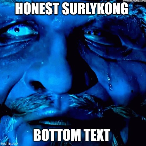 Honest SurlyKong Reaction | HONEST SURLYKONG BOTTOM TEXT | image tagged in honest surlykong reaction | made w/ Imgflip meme maker