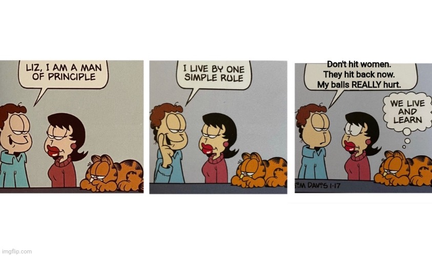 Life lessons with Jon | Don't hit women. They hit back now. My balls REALLY hurt. | image tagged in i am a man of principal jon arbuckle,jon,garfield,life lessons,stop it get some help | made w/ Imgflip meme maker