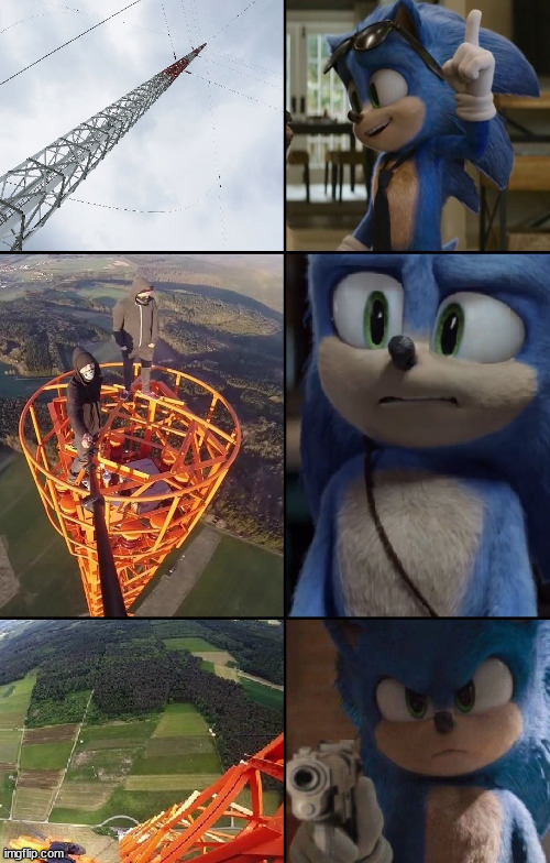 Sonic The Hedgehog | image tagged in template,meme,sonic,latticeclimbing,sonicthehedgehog | made w/ Imgflip meme maker