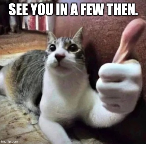 cat thumbs up | SEE YOU IN A FEW THEN. | image tagged in cat thumbs up | made w/ Imgflip meme maker