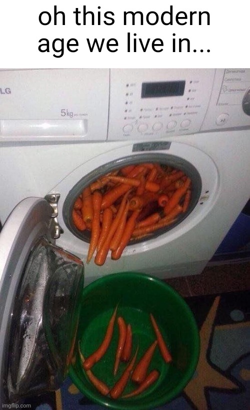 Meme #2,552 | oh this modern age we live in... | image tagged in cursed image,cursed,carrots,washing machine,wash,machine | made w/ Imgflip meme maker