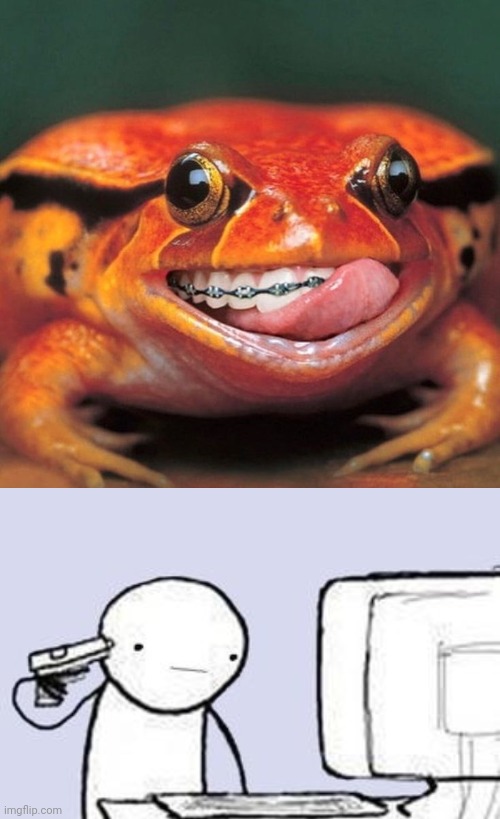 Meme #2,553 | image tagged in computer suicide,cursed image,cursed,frogs,tongue,braces | made w/ Imgflip meme maker
