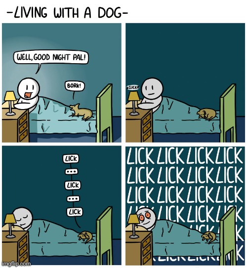 Lick | image tagged in dogs,dog,lick,bed,comics,comics/cartoons | made w/ Imgflip meme maker