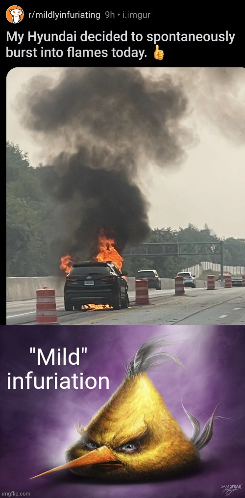 Redditors when their car explodes | "Mild" infuriation | image tagged in hyperrealistic chuck | made w/ Imgflip meme maker