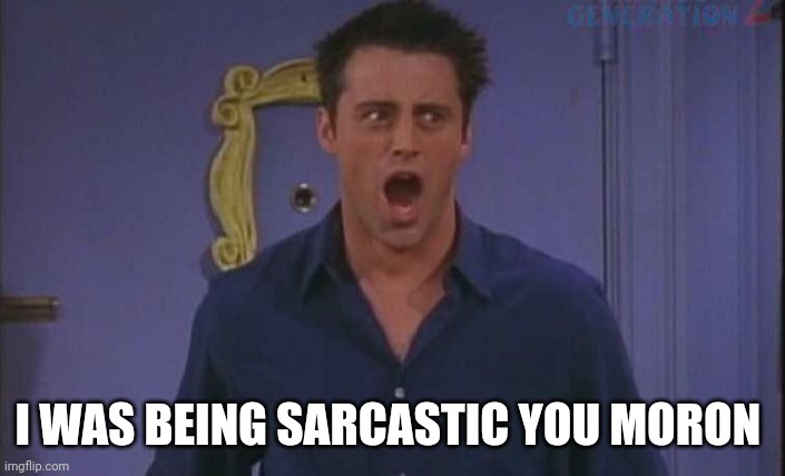 I WAS BEING SARCASTIC YOU MORON | image tagged in friends,joey from friends,sarcasm,moron | made w/ Imgflip meme maker