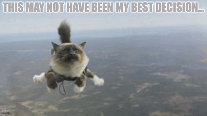 Skydiving Cat | THIS MAY NOT HAVE BEEN MY BEST DECISION... | image tagged in skydiving cat,cats,stop it get some help | made w/ Imgflip meme maker