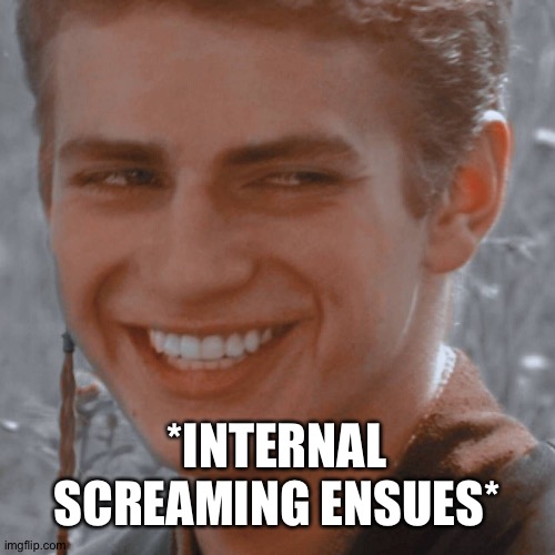 Smile Anakin | *INTERNAL SCREAMING ENSUES* | image tagged in smile anakin | made w/ Imgflip meme maker