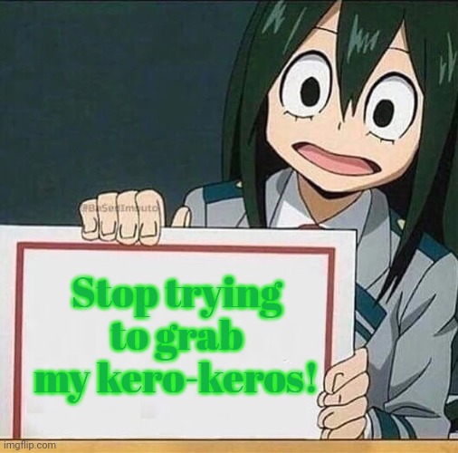 Frog problems | Stop trying to grab my kero-keros! | image tagged in froppy sign,froppy,mha,stop grabbing them,anime girl | made w/ Imgflip meme maker