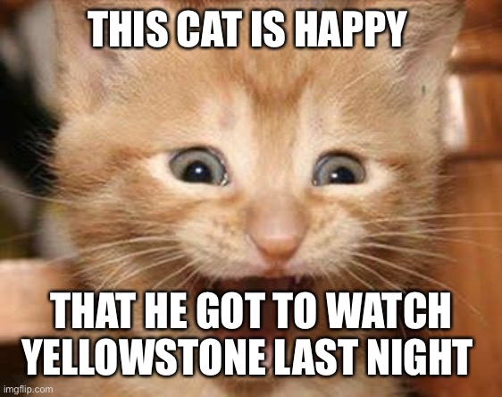 Excited Cat | THIS CAT IS HAPPY; THAT HE GOT TO WATCH YELLOWSTONE LAST NIGHT | image tagged in memes,excited cat | made w/ Imgflip meme maker