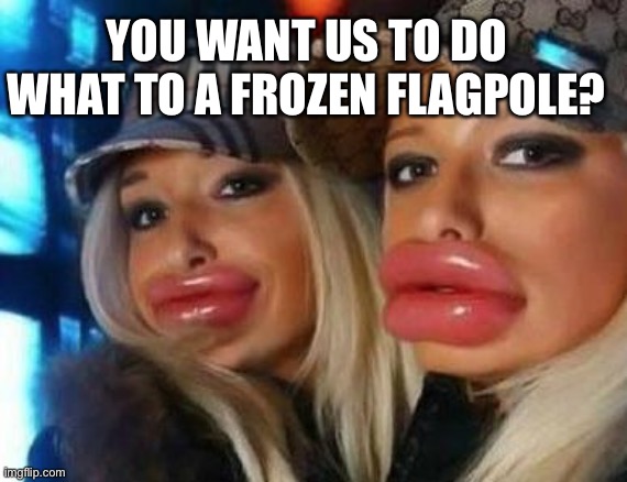 Duck Face Chicks | YOU WANT US TO DO WHAT TO A FROZEN FLAGPOLE? | image tagged in memes,duck face chicks,funny | made w/ Imgflip meme maker