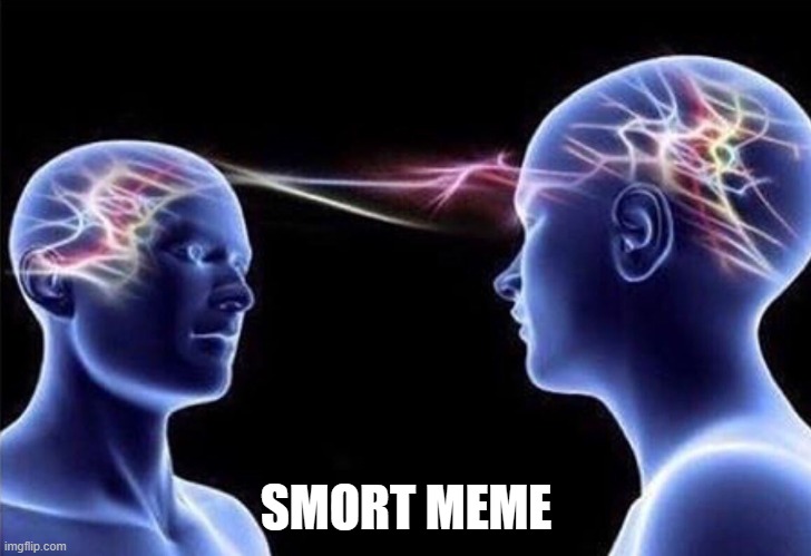 SMORT MEME | image tagged in brains | made w/ Imgflip meme maker