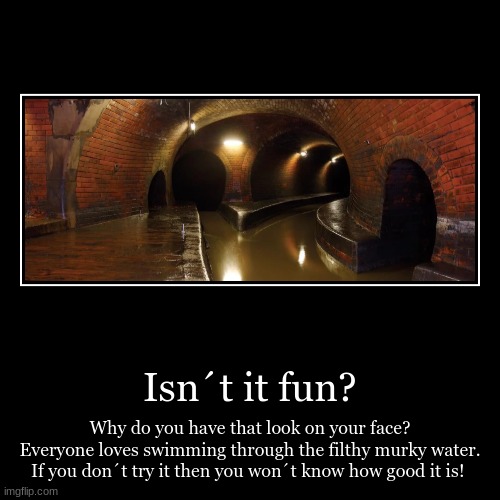 Isn´t it fun? | Why do you have that look on your face? Everyone loves swimming through the filthy murky water. If you don´t try it then you | image tagged in funny,demotivationals | made w/ Imgflip demotivational maker