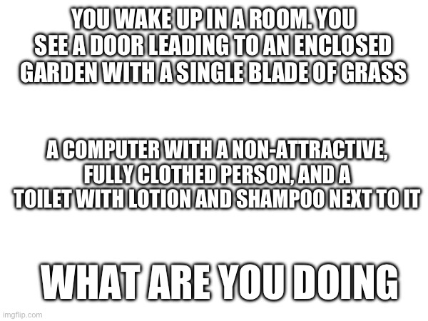 YOU WAKE UP IN A ROOM. YOU SEE A DOOR LEADING TO AN ENCLOSED GARDEN WITH A SINGLE BLADE OF GRASS; A COMPUTER WITH A NON-ATTRACTIVE, FULLY CLOTHED PERSON, AND A TOILET WITH LOTION AND SHAMPOO NEXT TO IT; WHAT ARE YOU DOING | made w/ Imgflip meme maker