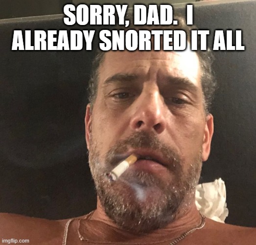 Hunter Biden | SORRY, DAD.  I ALREADY SNORTED IT ALL | image tagged in hunter biden | made w/ Imgflip meme maker