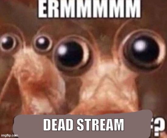 I think all the mods are off | DEAD STREAM | image tagged in krill yourself | made w/ Imgflip meme maker