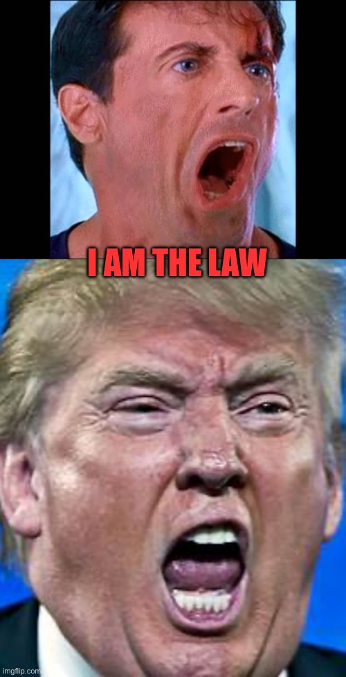 I AM THE LAW | image tagged in judge dredd - you betrayed the law,trump scream | made w/ Imgflip meme maker
