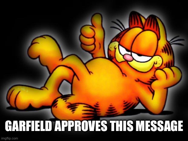 garfield thumbs up | GARFIELD APPROVES THIS MESSAGE | image tagged in garfield thumbs up | made w/ Imgflip meme maker