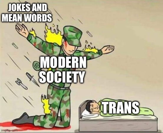 The world according to trans activists | JOKES AND MEAN WORDS; MODERN SOCIETY; TRANS | image tagged in soldier protecting sleeping child | made w/ Imgflip meme maker