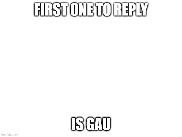 FIRST ONE TO REPLY; IS GAU | image tagged in wait hold up | made w/ Imgflip meme maker