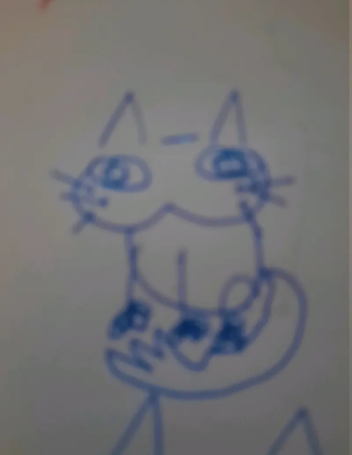 Cat Blank Meme Template