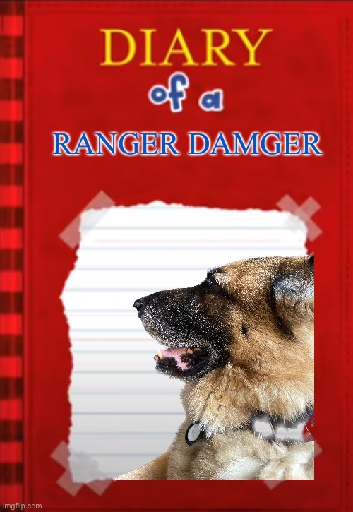 RANGER DAMGER | image tagged in diary of a x | made w/ Imgflip meme maker