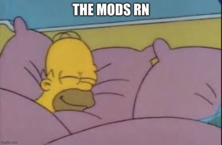 how i sleep homer simpson | THE MODS RN | image tagged in how i sleep homer simpson | made w/ Imgflip meme maker