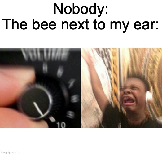 BUZZZZZZZZZZZZZZ | Nobody:
The bee next to my ear: | image tagged in loud music | made w/ Imgflip meme maker