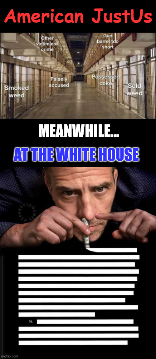 It's a Big Club... and you're not in it... | American JustUs; MEANWHILE... AT THE WHITE HOUSE | image tagged in american,injustice,biden,crime,family | made w/ Imgflip meme maker
