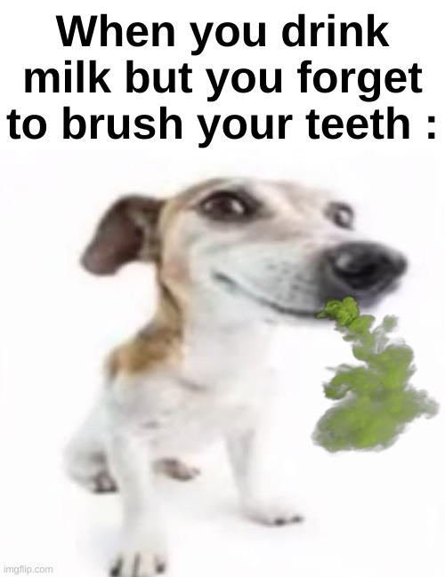 Even in your mouth it tastes bad after 15 mins | When you drink milk but you forget to brush your teeth : | image tagged in memes,funny,relatable,milk,bad breath,front page plz | made w/ Imgflip meme maker
