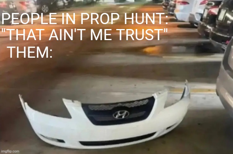 PEOPLE IN PROP HUNT:
"THAT AIN'T ME TRUST"; THEM: | image tagged in chuck norris approves | made w/ Imgflip meme maker