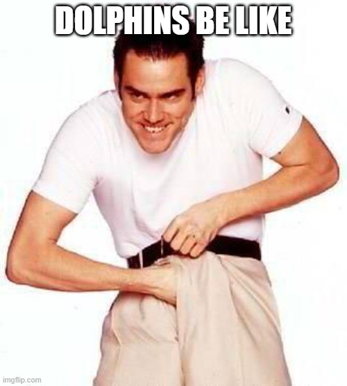 Rape face | DOLPHINS BE LIKE | image tagged in rape face | made w/ Imgflip meme maker