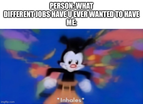 Yakko inhale | PERSON: WHAT DIFFERENT JOBS HAVE U EVER WANTED TO HAVE
ME: | image tagged in yakko inhale | made w/ Imgflip meme maker