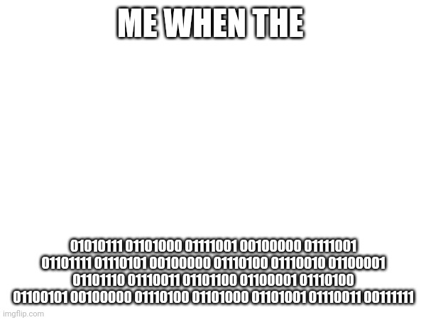 ME WHEN THE; 01010111 01101000 01111001 00100000 01111001 01101111 01110101 00100000 01110100 01110010 01100001 01101110 01110011 01101100 01100001 01110100 01100101 00100000 01110100 01101000 01101001 01110011 00111111 | made w/ Imgflip meme maker