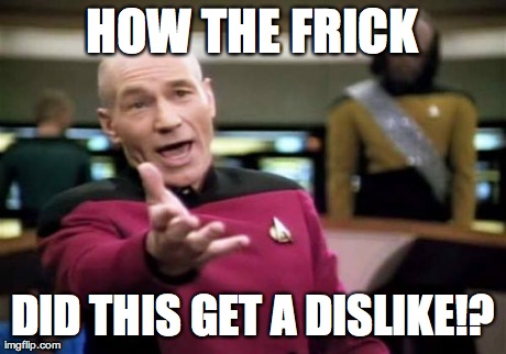 Picard Wtf Meme | HOW THE FRICK DID THIS GET A DISLIKE!? | image tagged in memes,picard wtf | made w/ Imgflip meme maker