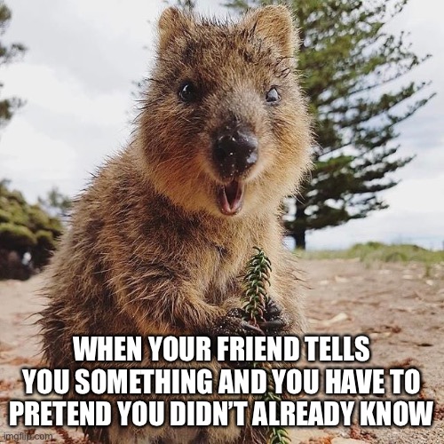You’re kidding? Really? | WHEN YOUR FRIEND TELLS YOU SOMETHING AND YOU HAVE TO PRETEND YOU DIDN’T ALREADY KNOW | image tagged in funny,meme,friends,shocked face | made w/ Imgflip meme maker