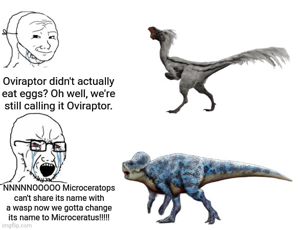 The duality of paleontologists | Oviraptor didn't actually eat eggs? Oh well, we're still calling it Oviraptor. NNNNNOOOOO Microceratops can't share its name with a wasp now we gotta change its name to Microceratus!!!!! | made w/ Imgflip meme maker