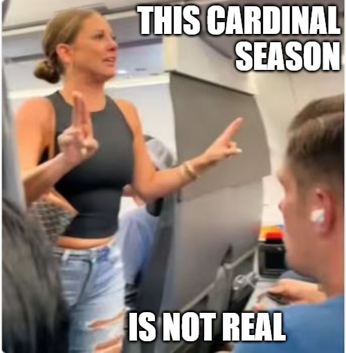 TMFINR | THIS CARDINAL
 SEASON; IS NOT REAL | image tagged in airplane,sports | made w/ Imgflip meme maker