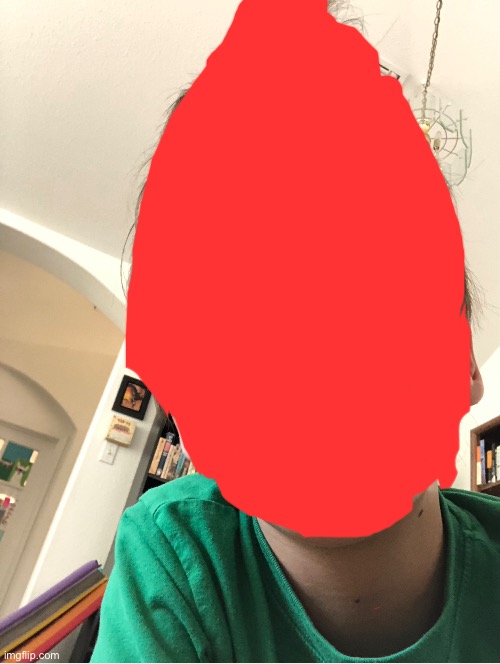 i will reveal a face reveal if i get 5 upvotes! not begging for upvotes! | image tagged in face reveal | made w/ Imgflip meme maker