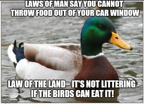 Actual Advice Mallard Meme | LAWS OF MAN SAY YOU CANNOT THROW FOOD OUT OF YOUR CAR WINDOW LAW OF THE LAND= IT'S NOT LITTERING IF THE BIRDS CAN EAT IT! | image tagged in memes,actual advice mallard | made w/ Imgflip meme maker