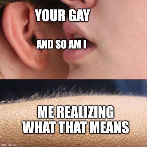 Wait this means... | YOUR GAY; AND SO AM I; ME REALIZING WHAT THAT MEANS | image tagged in oh no | made w/ Imgflip meme maker