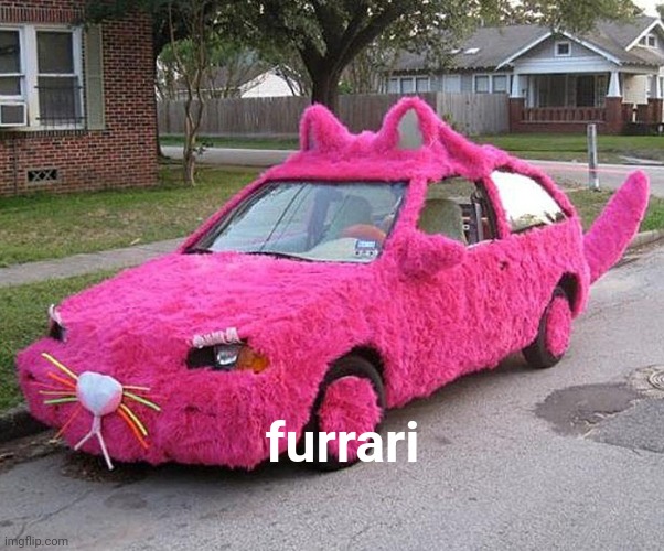 Meme #2,533 | furrari | image tagged in fur,cars,pink,ferrari,memes,funny memes | made w/ Imgflip meme maker