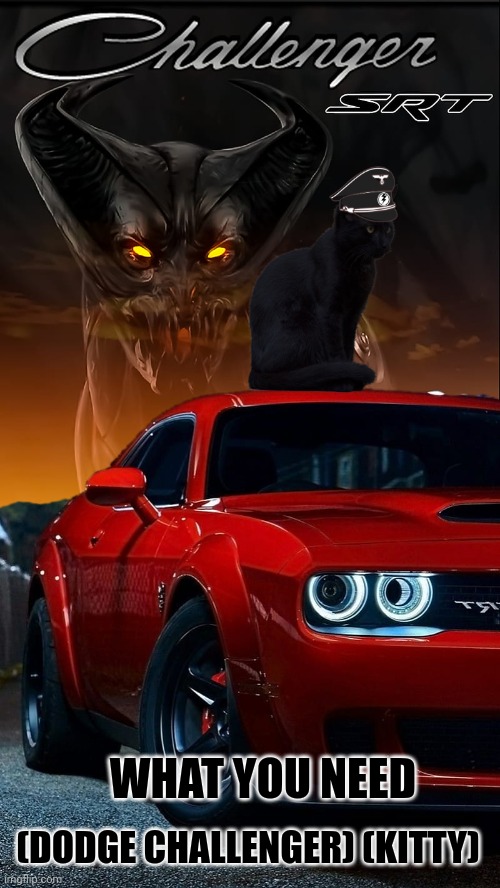 Dodge Challenger + Kitty | WHAT YOU NEED; (DODGE CHALLENGER) (KITTY) | image tagged in devils challenger srt | made w/ Imgflip meme maker