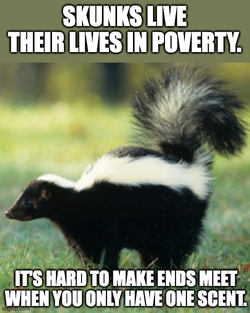 Poor things | SKUNKS LIVE THEIR LIVES IN POVERTY. IT'S HARD TO MAKE ENDS MEET WHEN YOU ONLY HAVE ONE SCENT. | image tagged in skunk | made w/ Imgflip meme maker
