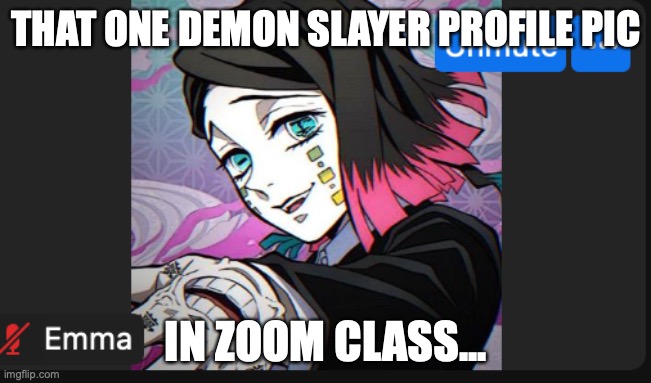 My zoom class... | THAT ONE DEMON SLAYER PROFILE PIC; IN ZOOM CLASS... | image tagged in demon slayer | made w/ Imgflip meme maker