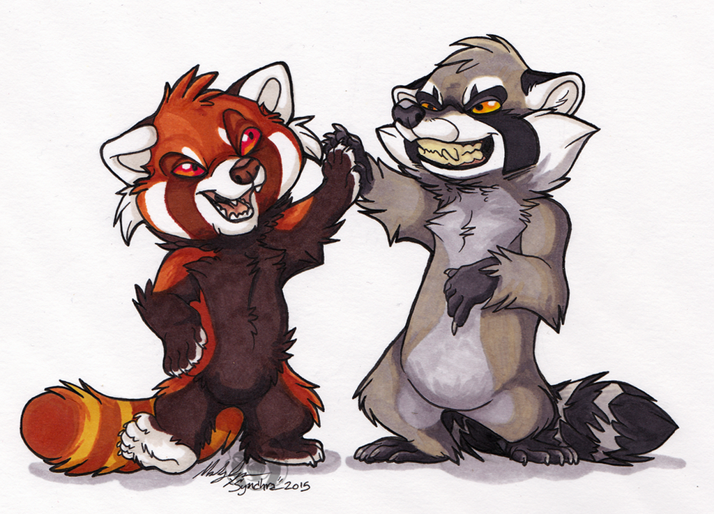 Raccoon and red panda Blank Meme Template