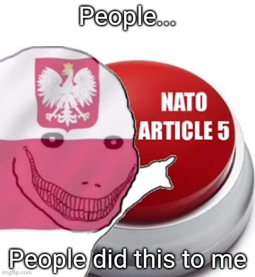 NATO ARTICLE 5 | People... People did this to me | image tagged in nato article 5 | made w/ Imgflip meme maker