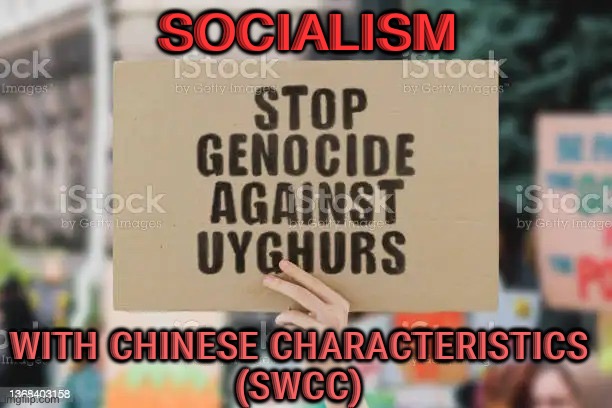 SWCC | SOCIALISM; WITH CHINESE CHARACTERISTICS 
(SWCC) | image tagged in socialism with chinese characteristics | made w/ Imgflip meme maker